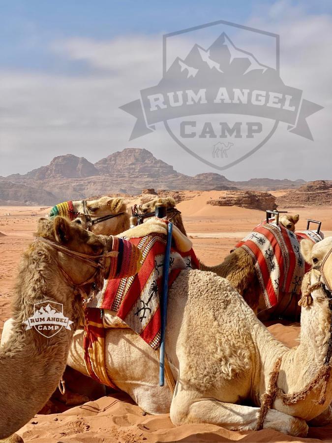 Rum Angel Camp 와디럼 외부 사진